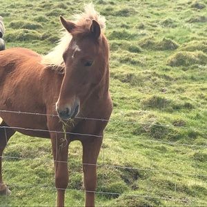 Meet your Posher, Diane